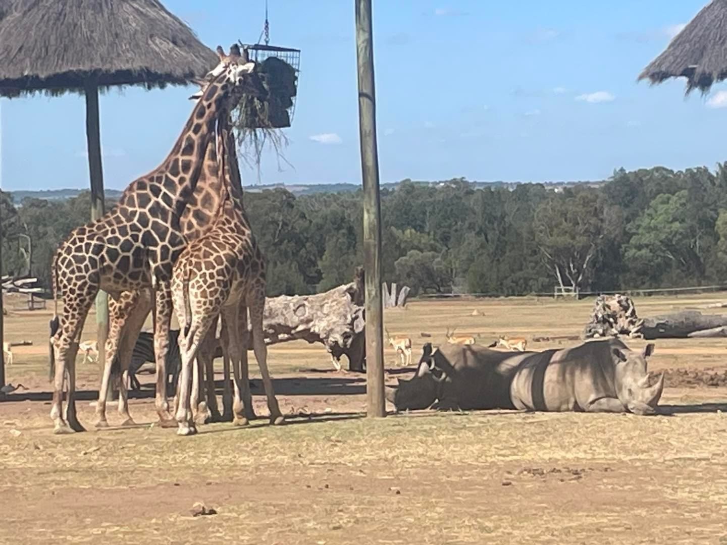 Dubbo Zoo 2025 Image -67de04d8c7879